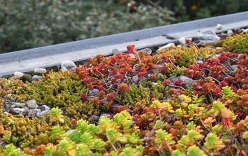 the cost of Stratfield Saye green roof installation