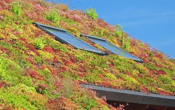 Stratfield Saye living roof systems